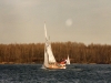 Bild165